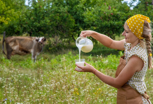 Les compléments alimentaire à base de colostrum