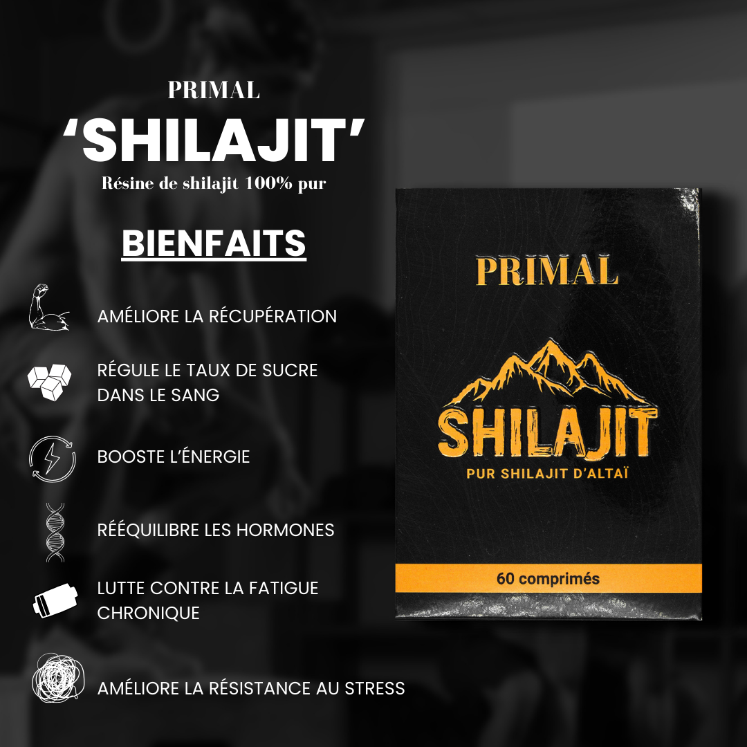 Comprimés de Shilajit Primal