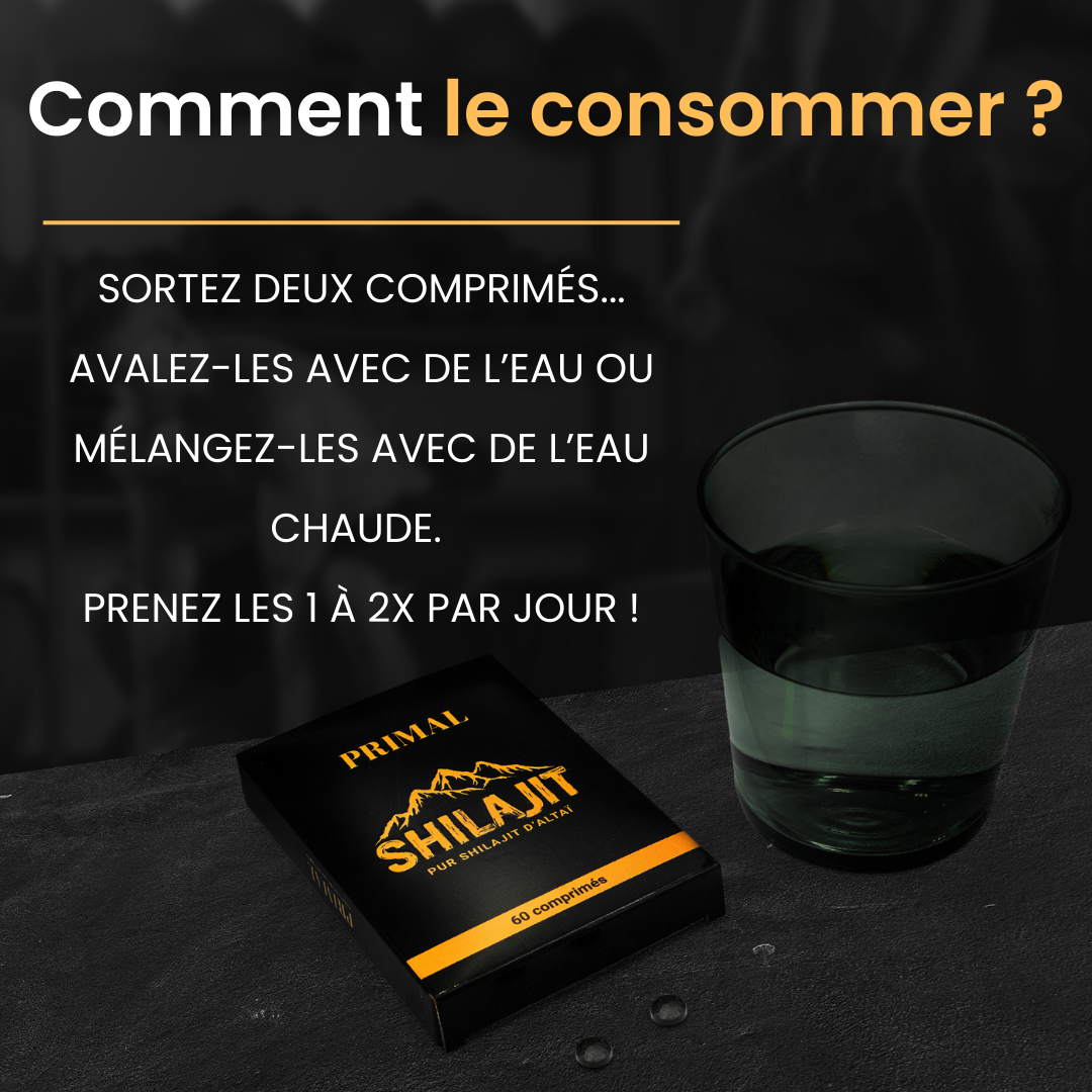 Comprimés de Shilajit Primal