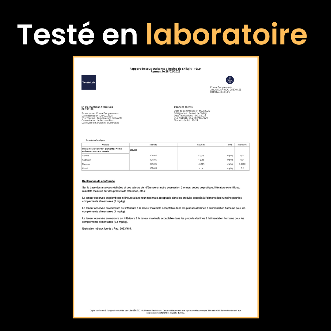 Comprimés de Shilajit Primal