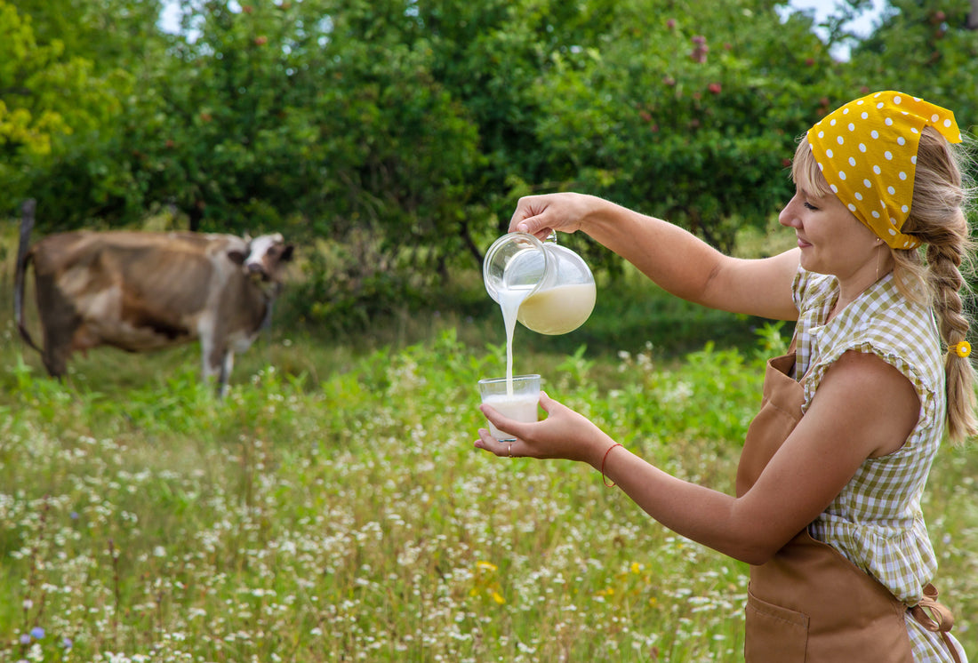 Les compléments alimentaire à base de colostrum