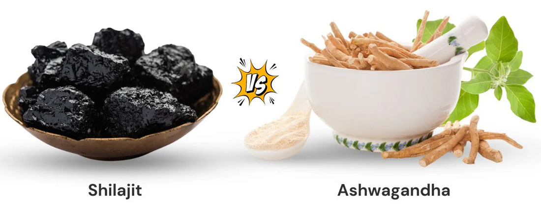 Shilajit vs Ashwagandha : quel est le meilleur complément pour votre santé ?