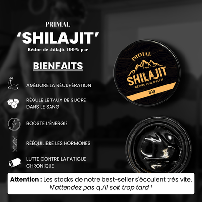 Résine de Shilajit Primal