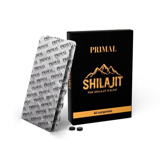 Comprimés de Shilajit