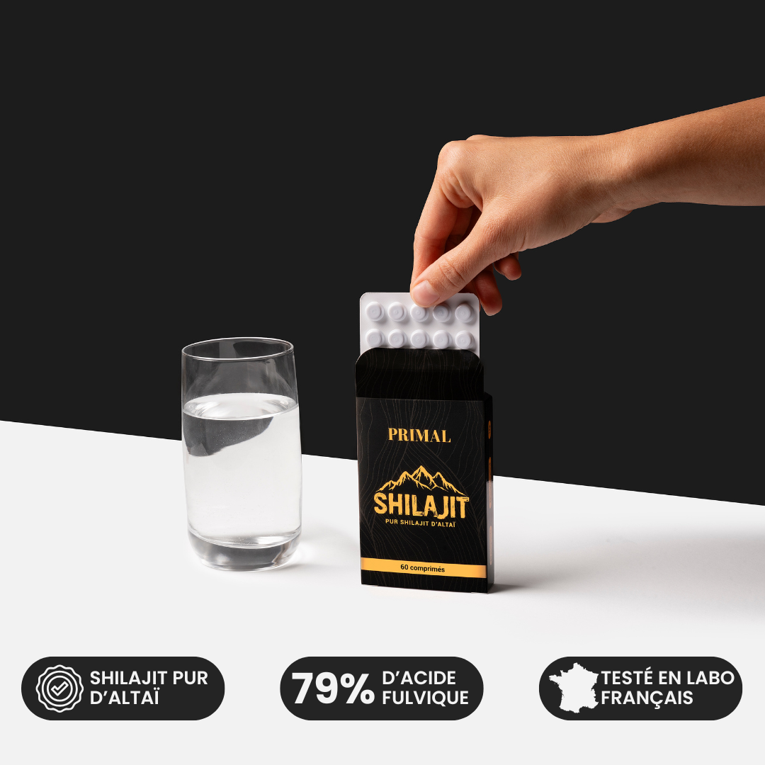 Comprimés de Shilajit Primal