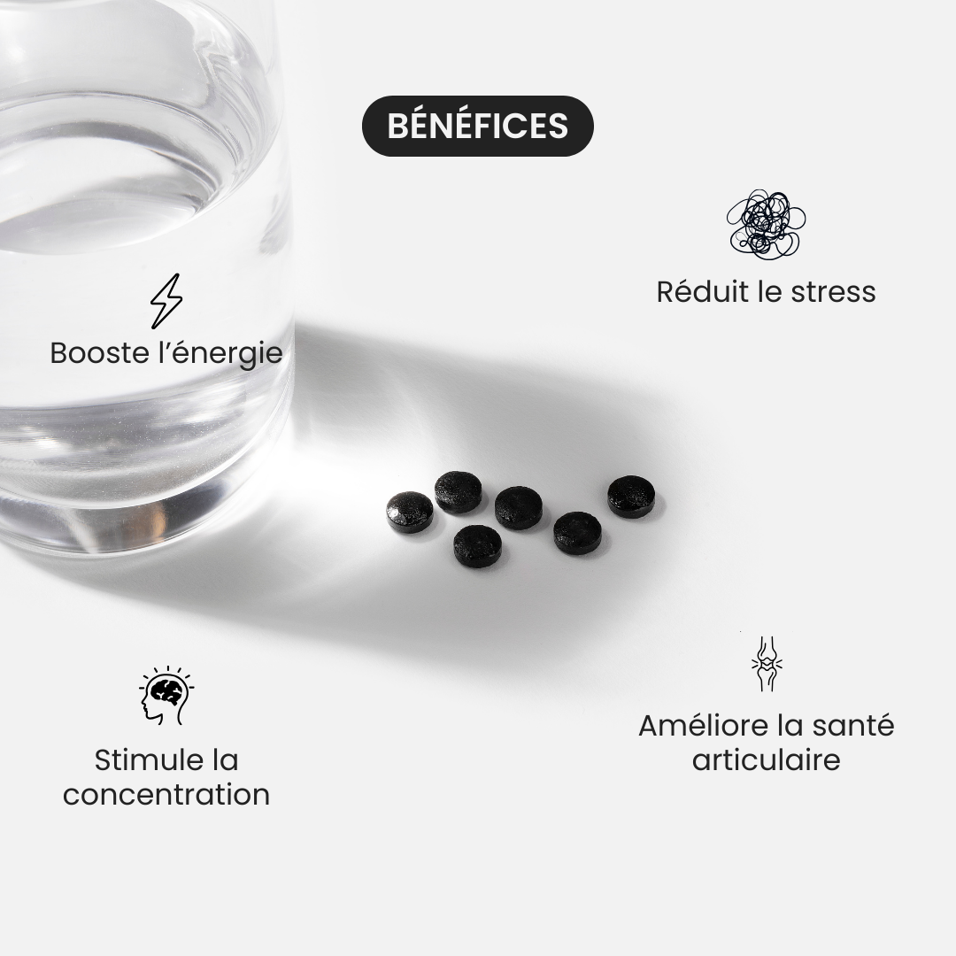 Comprimés de Shilajit Primal