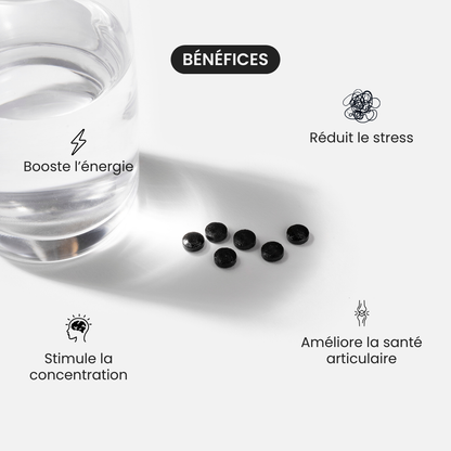 Primal Shilajit B2B vente en gros