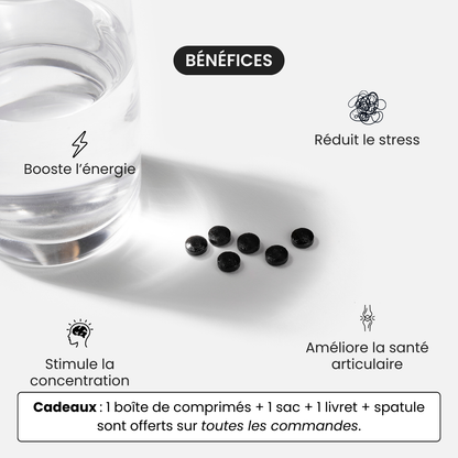 Comprimés de Shilajit Primal