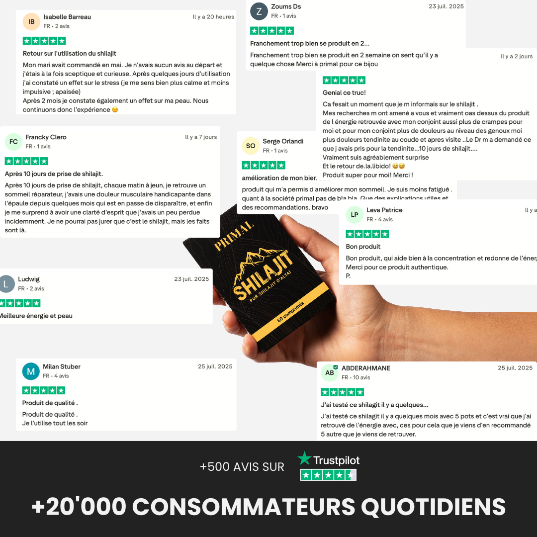 Comprimés de Shilajit Primal