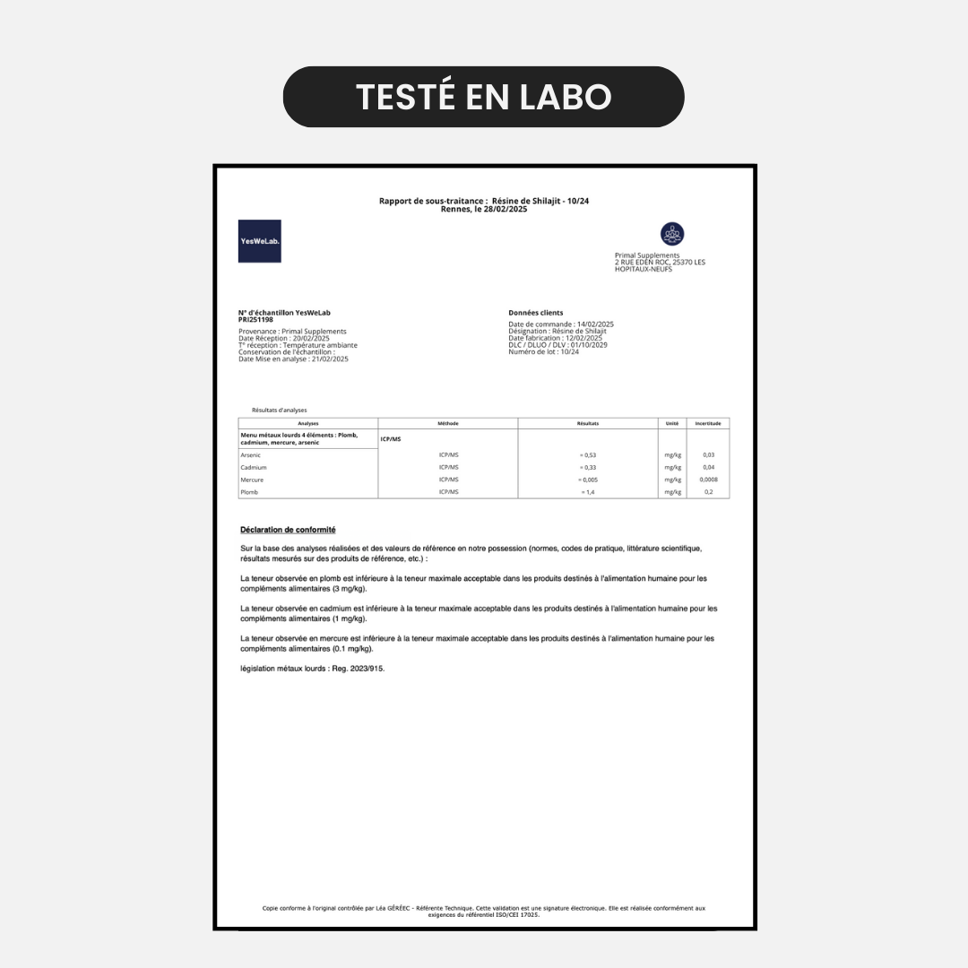 Comprimés de Shilajit Primal