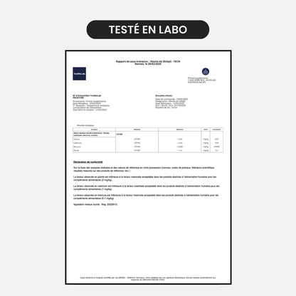 Comprimés de Shilajit Primal