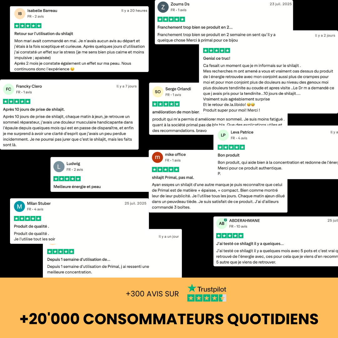 Résine de Shilajit Primal