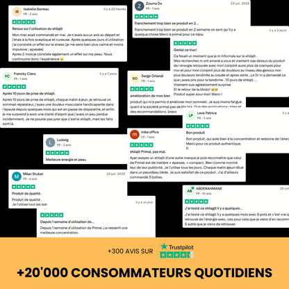 Résine de Shilajit Primal