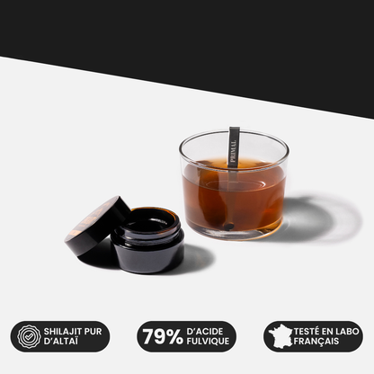 Résine de Shilajit Primal