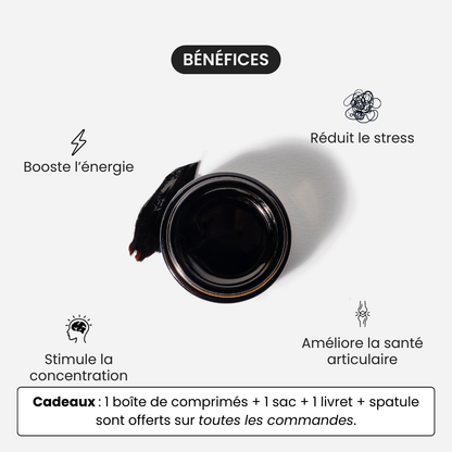 Résine de Shilajit Primal
