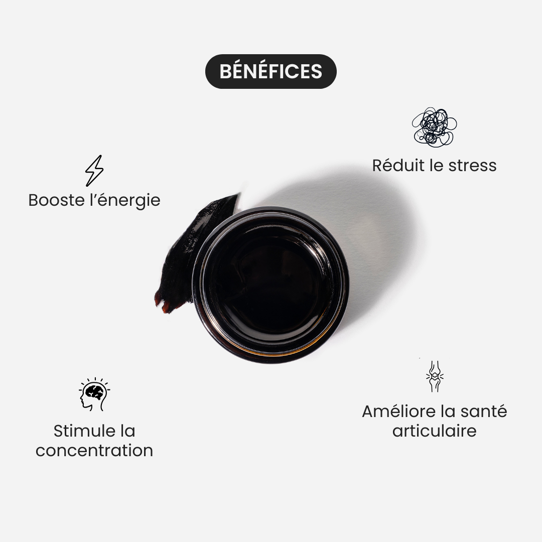 Résine de Shilajit Primal