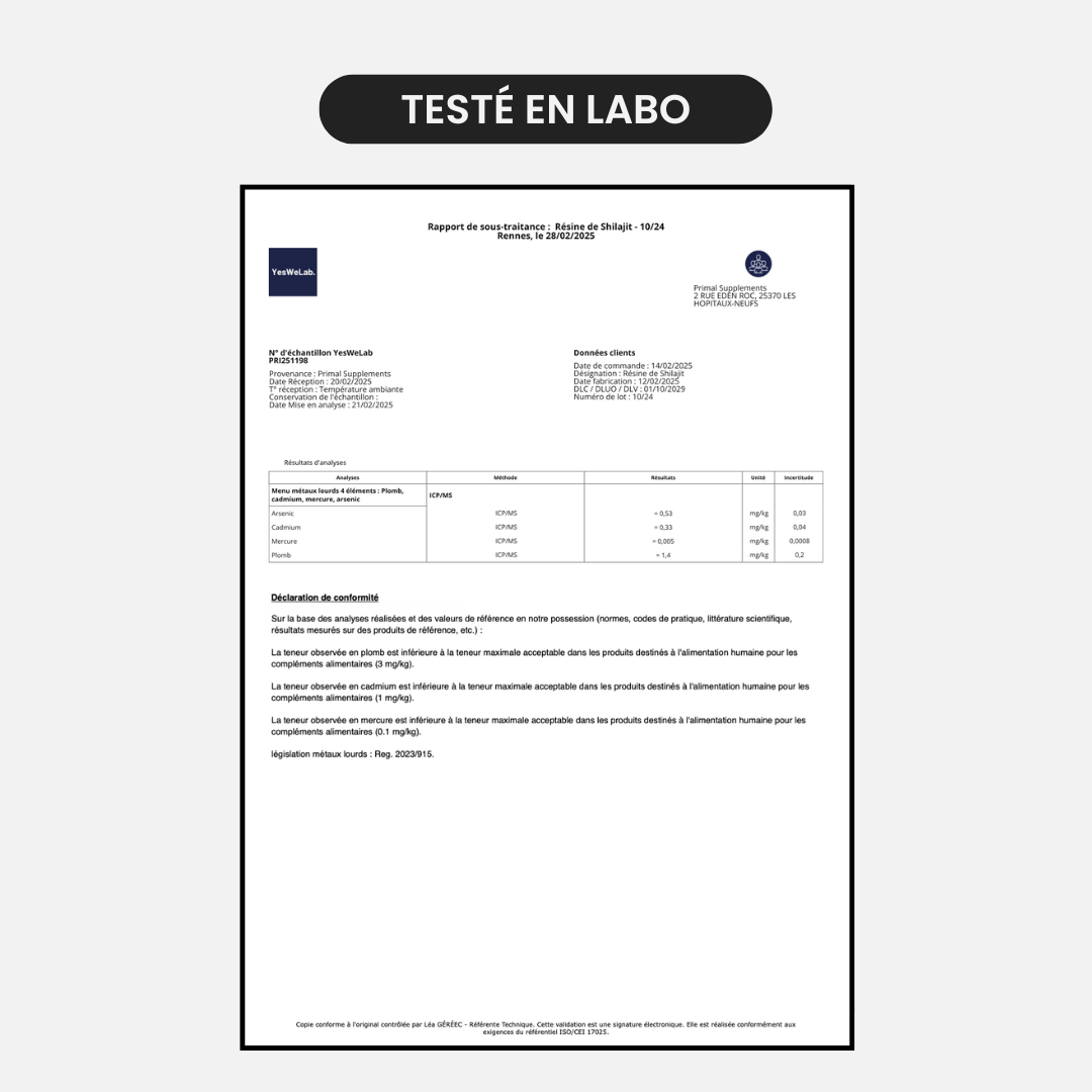 Résine de Shilajit Primal